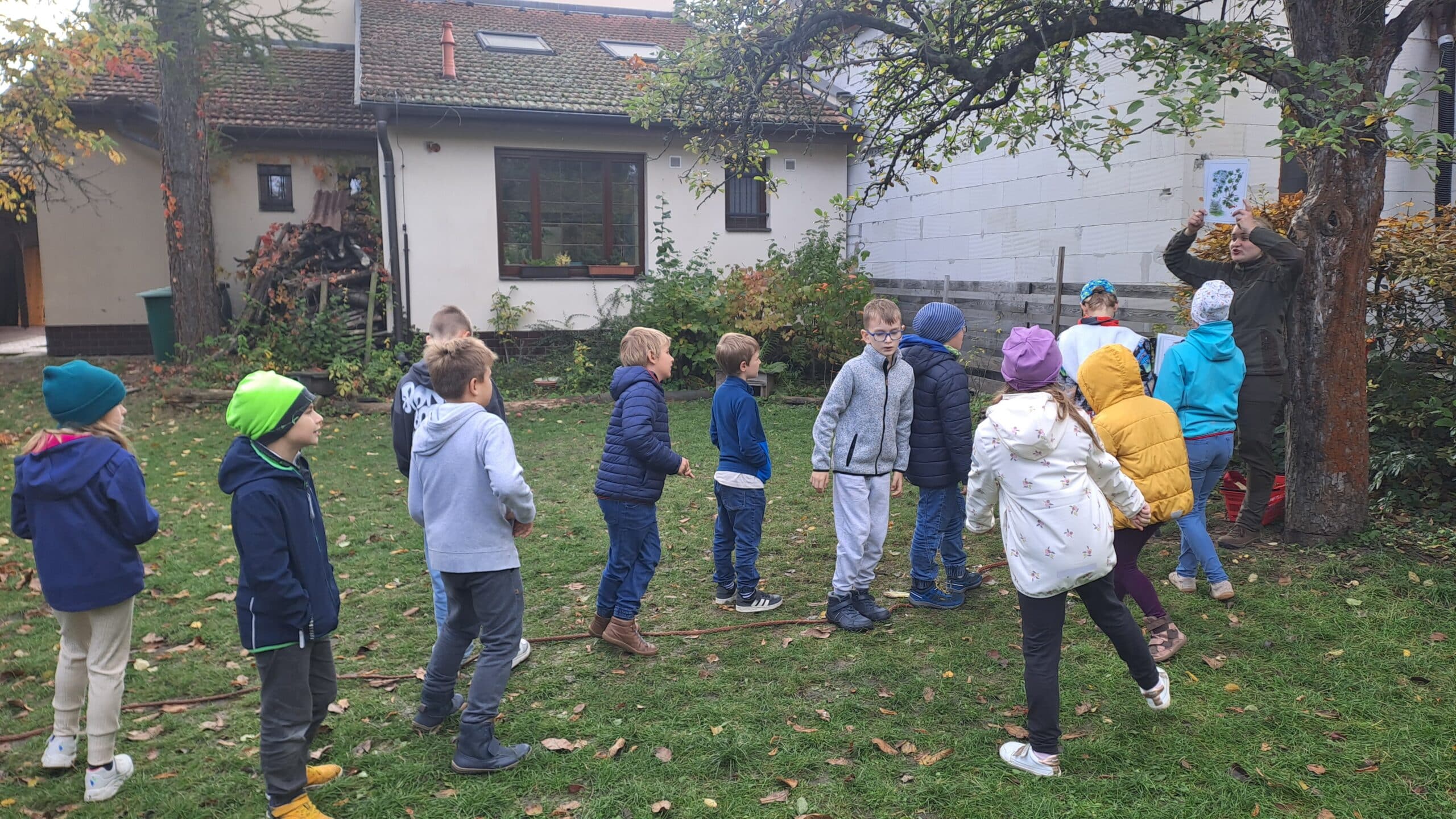 Od kořenů ke korunám